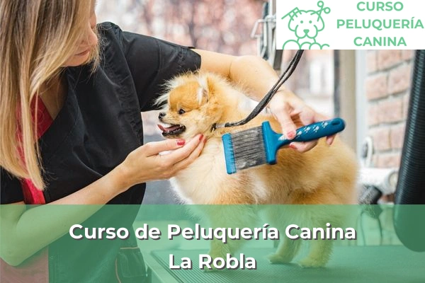 Curso de Peluquería Canina en La Robla