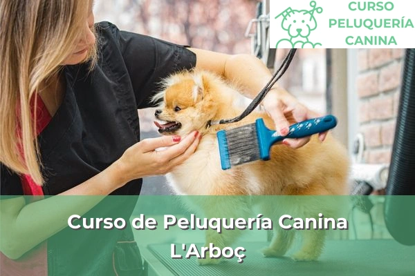 Curso de Peluquería Canina en L'Arboç