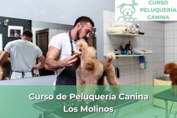 Curso de Peluquería Canina en Los Molinos