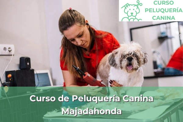 Curso de Peluquería Canina en Majadahonda