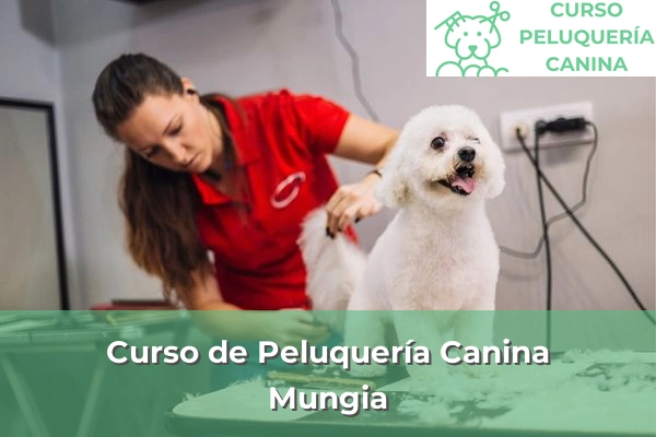 Curso de Peluquería Canina en Mungia