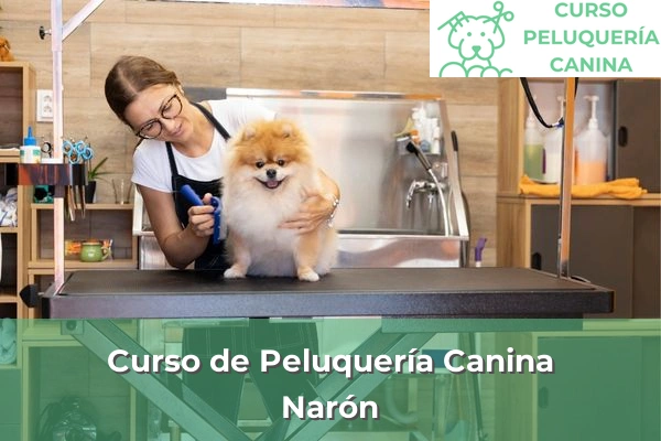 Curso de Peluquería Canina en A Coruña 38 Curso de Peluquería Canina en Narón