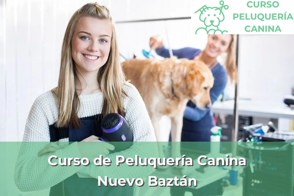 Curso de Peluquería Canina en Nuevo Baztán