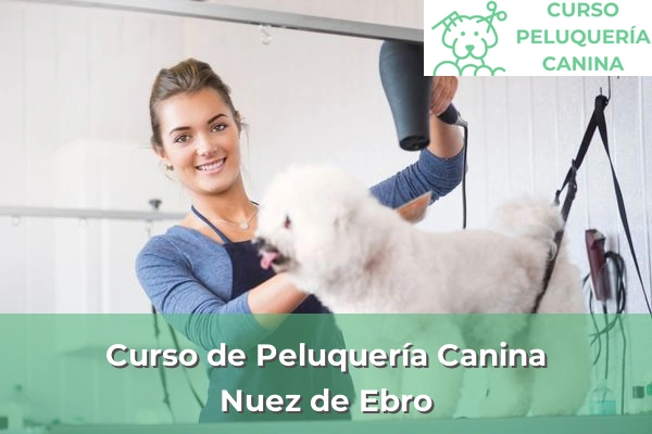 Curso de Peluquería Canina en Nuez de Ebro