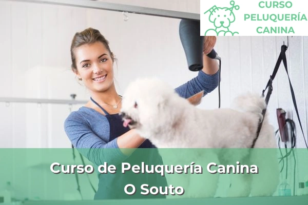 Curso de Peluquería Canina en A Coruña 41 Curso de Peluquería Canina en O Souto