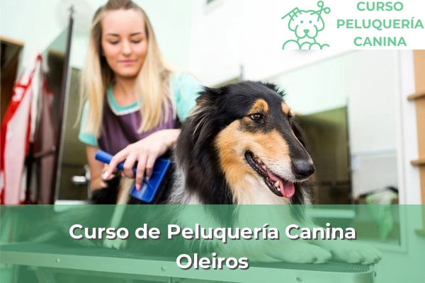 Curso de Peluquería Canina en A Coruña 43 Curso de Peluquería Canina en Oleiros
