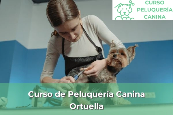 Curso de Peluquería Canina en Ortuella