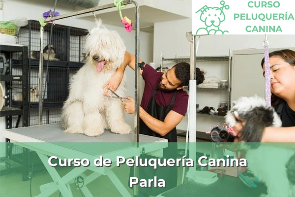 Curso de Peluquería Canina en Parla