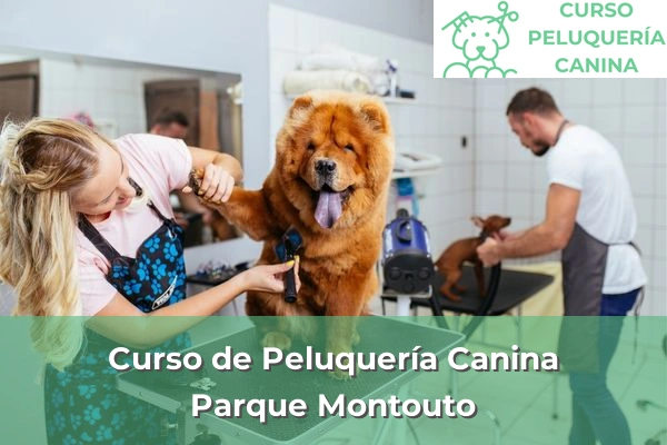 Curso de Peluquería Canina en A Coruña 47 Curso de Peluquería Canina en Parque Montouto