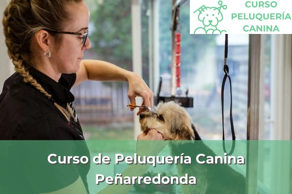 Curso de Peluquería Canina en A Coruña 49 Curso de Peluquería Canina en Peñarredonda