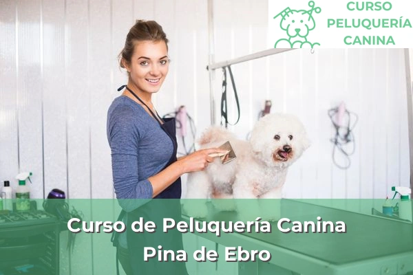 Curso de Peluquería Canina en Pina de Ebro