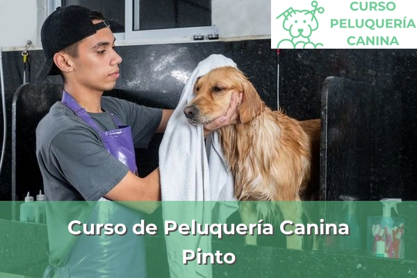 Curso de Peluquería Canina en Pinto