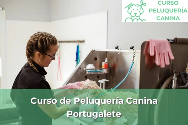 Curso de Peluquería Canina en Portugalete