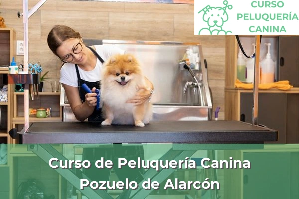 Curso de Peluquería Canina en Pozuelo de Alarcón