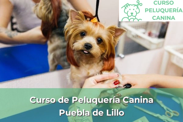 Curso de Peluquería Canina en Puebla de Lillo