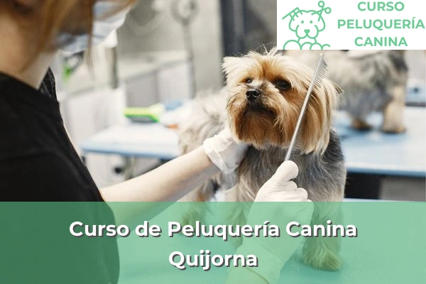Curso de Peluquería Canina en Quijorna