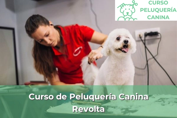 Curso de Peluquería Canina en A Coruña 52 Curso de Peluquería Canina en Revolta