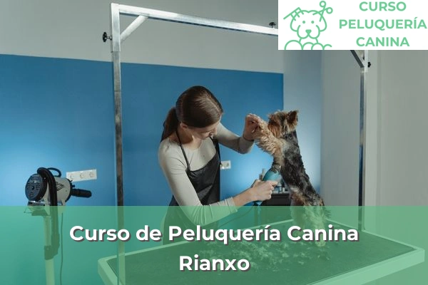 Curso de Peluquería Canina en A Coruña 53 Curso de Peluquería Canina en Rianxo