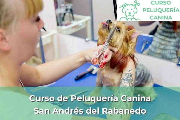 Curso de Peluquería Canina en San Andrés del Rabanedo