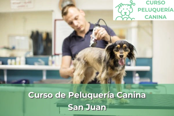 Curso de Peluquería Canina en San Juan