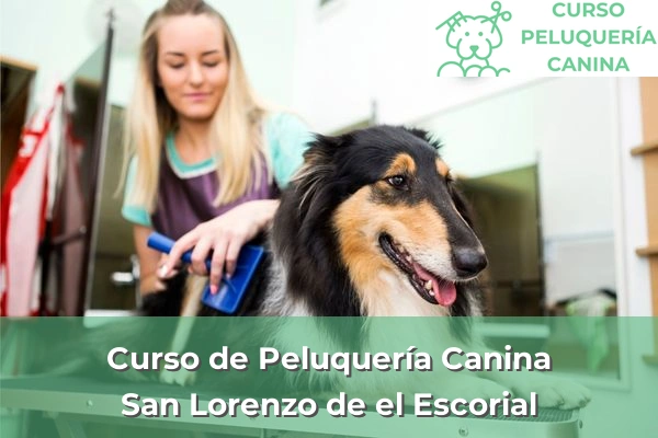 Curso de Peluquería Canina en San Lorenzo de el Escorial