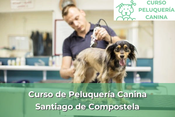 Curso de Peluquería Canina en A Coruña 58 Curso de Peluquería Canina en Santiago de Compostela