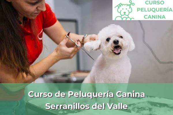 Curso de Peluquería Canina en Serranillos del Valle