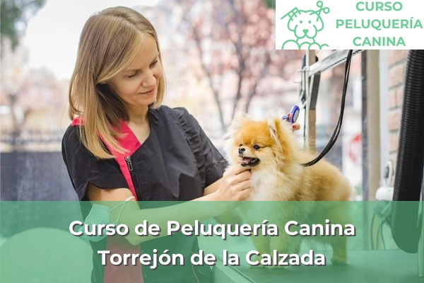 Curso de Peluquería Canina en Torrejón de la Calzada