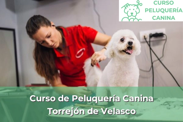 Curso de Peluquería Canina en Torrejón de Velasco
