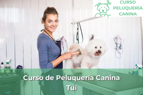 Curso de Peluquería Canina en Tui