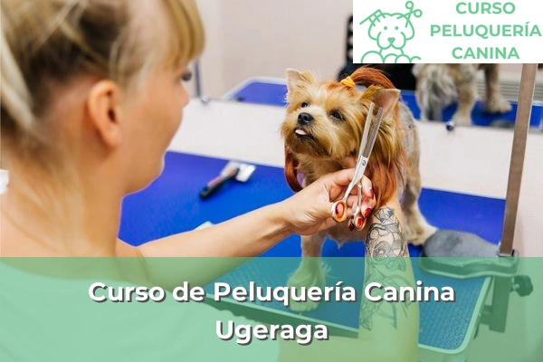 Curso de Peluquería Canina en Ugeraga