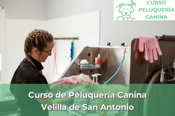 Curso de Peluquería Canina en Velilla de San Antonio