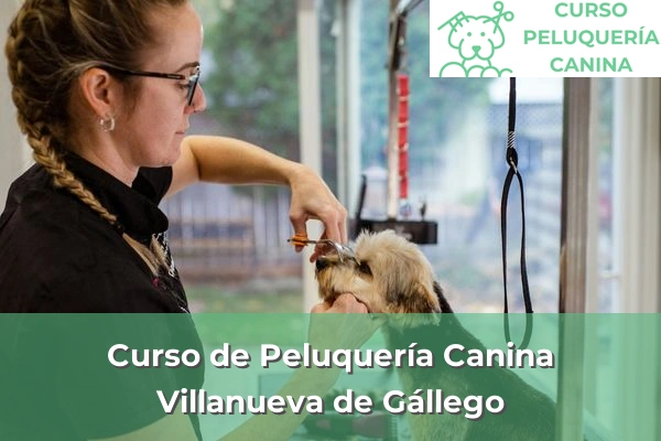 Curso de Peluquería Canina en Villanueva de Gállego
