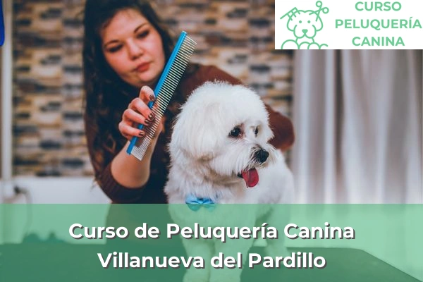 Curso de Peluquería Canina en Villanueva del Pardillo