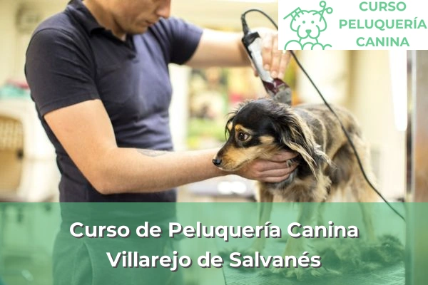 Curso de Peluquería Canina en Villarejo de Salvanés