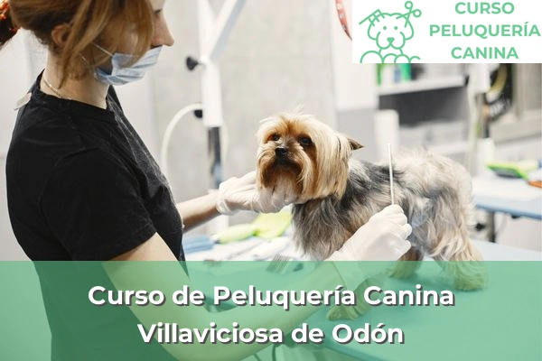Curso de Peluquería Canina en Villaviciosa de Odón
